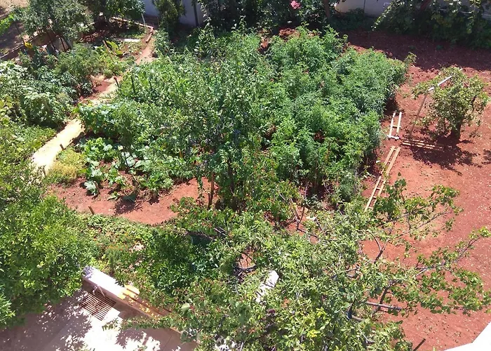 The Consists Of Two Bedrooms, A Bathroom, A Kitchen And A Living * זאדאר