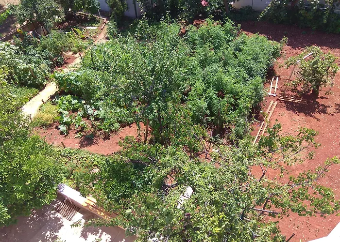 The Consists Of Two Bedrooms, A Bathroom, A Kitchen And A Living